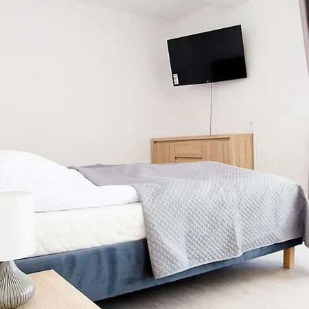 Silver サルビノボ