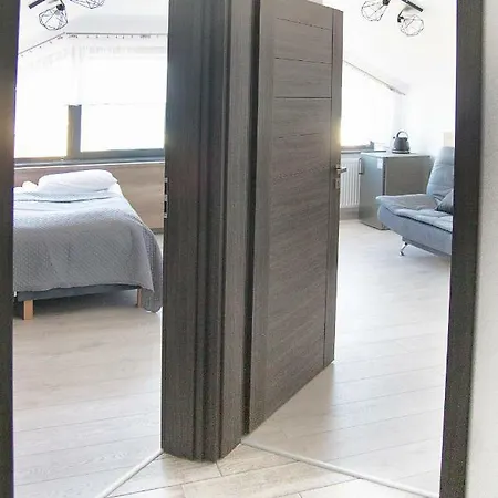 Silver サルビノボ