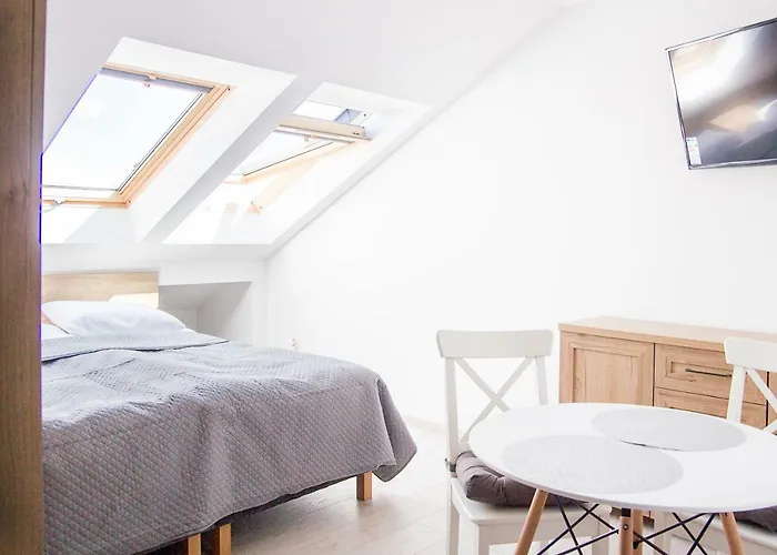 Silver * サルビノボ