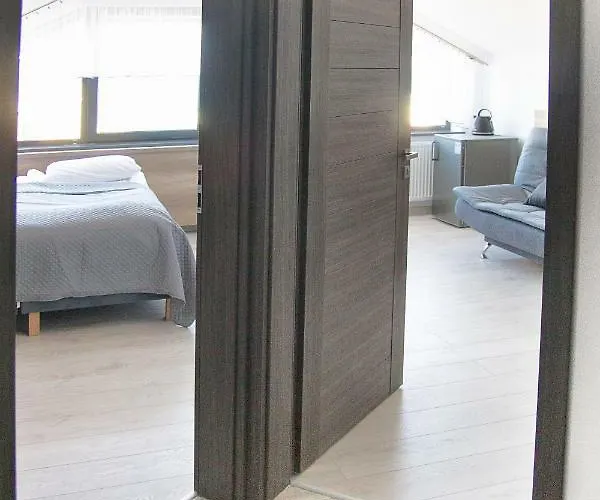 Silver サルビノボ